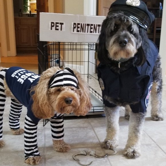 Meet your Posher, Karen - Picture 5 of 7